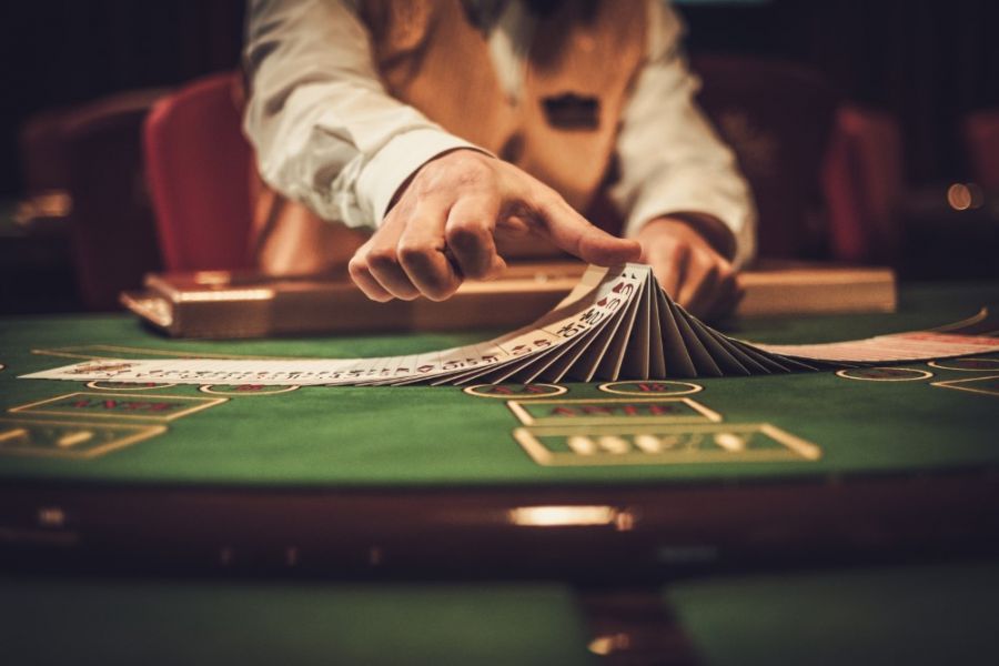 Stake casino site review 2024